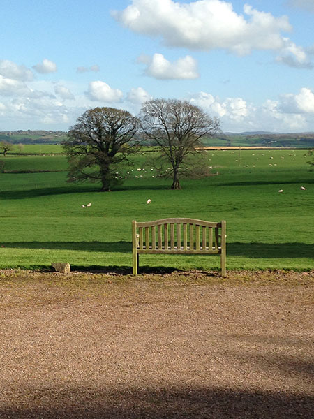 overlooking devon