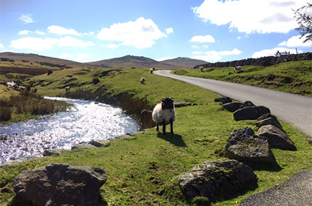 nearby is dartmoor national park